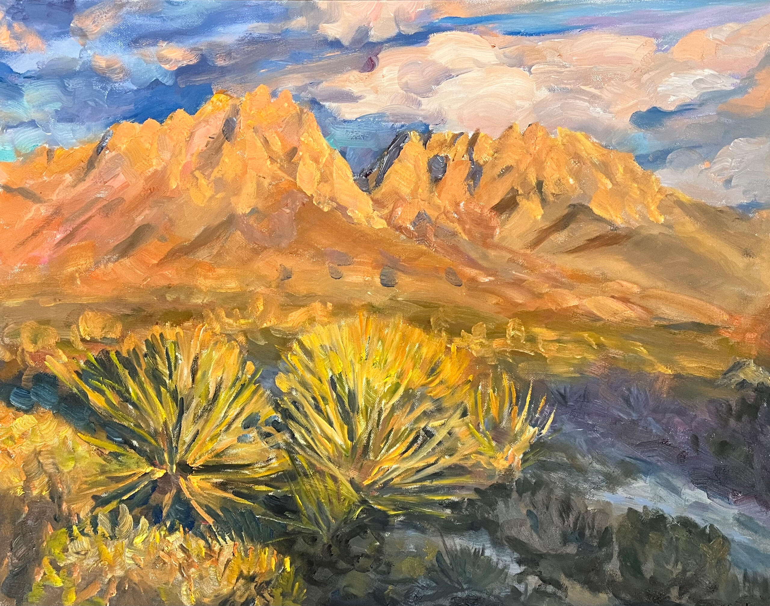 Organ Mountains New Mexico
